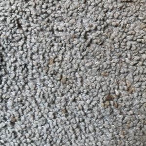 Meet your Posher, Joel